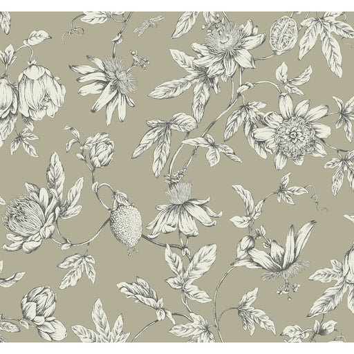 KRAVET DESIGN - KRAVET DESIGN- W4240-106 - Wallcovering by the Roll W4240-106