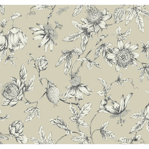 KRAVET DESIGN - KRAVET DESIGN- W4240-16 - Wallcovering by the Roll W4240-16