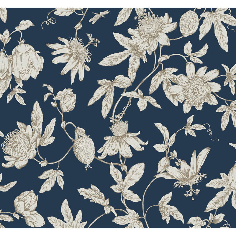KRAVET DESIGN - KRAVET DESIGN- W4240-50 - Wallcovering by the Roll W4240-50