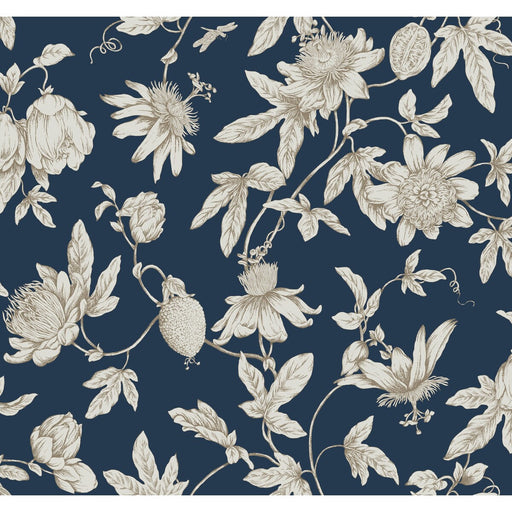KRAVET DESIGN - KRAVET DESIGN- W4240-50 - Wallcovering by the Roll W4240-50