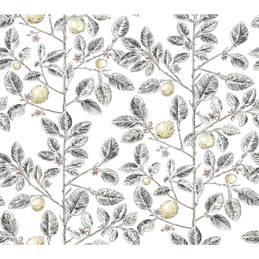 KRAVET DESIGN - W4241 - Wallpaper By the Roll