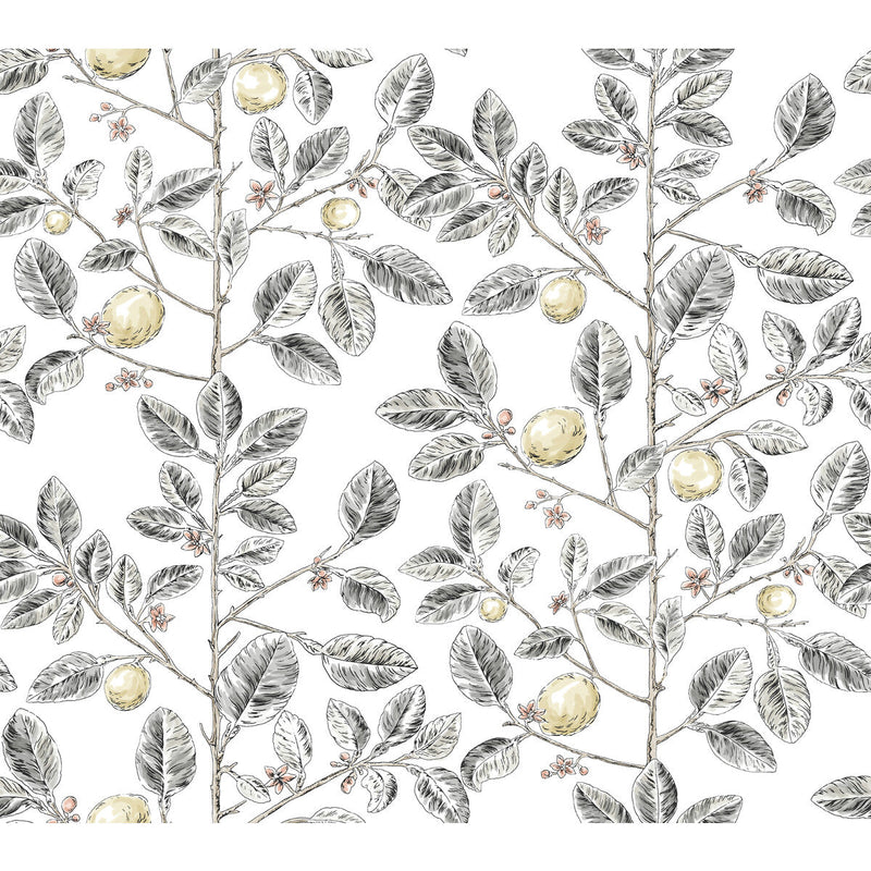 KRAVET DESIGN - KRAVET DESIGN- W4241-21 - Wallcovering by the Roll W4241-21