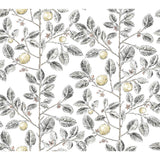 KRAVET DESIGN - KRAVET DESIGN- W4241-21 - Wallcovering by the Roll