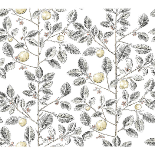 KRAVET DESIGN - KRAVET DESIGN- W4241-21 - Wallcovering by the Roll W4241-21