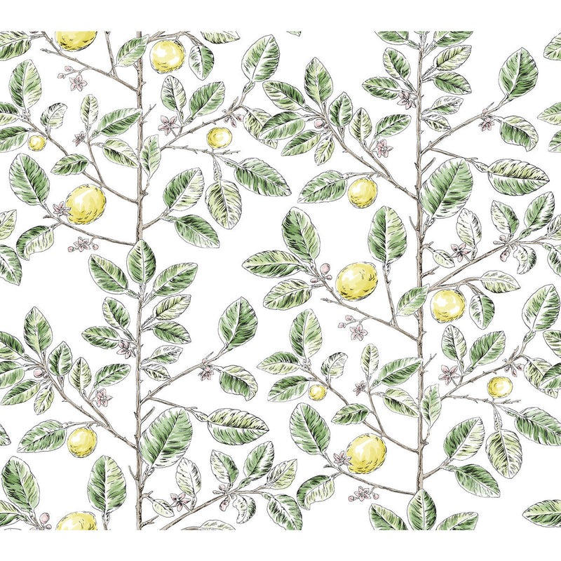 KRAVET DESIGN - KRAVET DESIGN- W4241-340 - Wallcovering by the Roll W4241-340