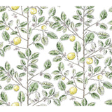 KRAVET DESIGN - KRAVET DESIGN- W4241-340 - Wallcovering by the Roll