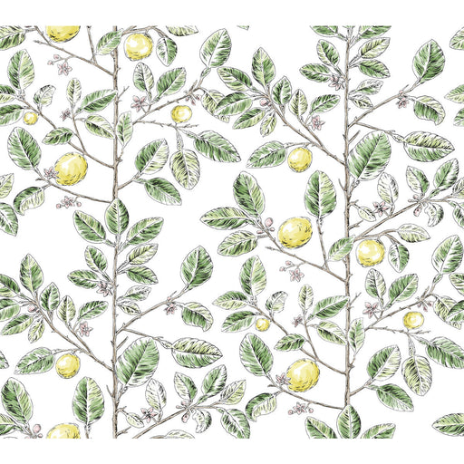 KRAVET DESIGN - KRAVET DESIGN- W4241-340 - Wallcovering by the Roll W4241-340