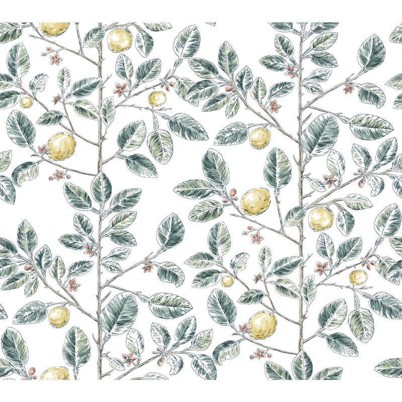 KRAVET DESIGN - KRAVET DESIGN- W4241-354 - Wallcovering by the Roll W4241-354