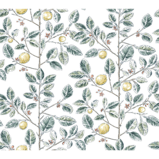 KRAVET DESIGN - KRAVET DESIGN- W4241-354 - Wallcovering by the Roll W4241-354