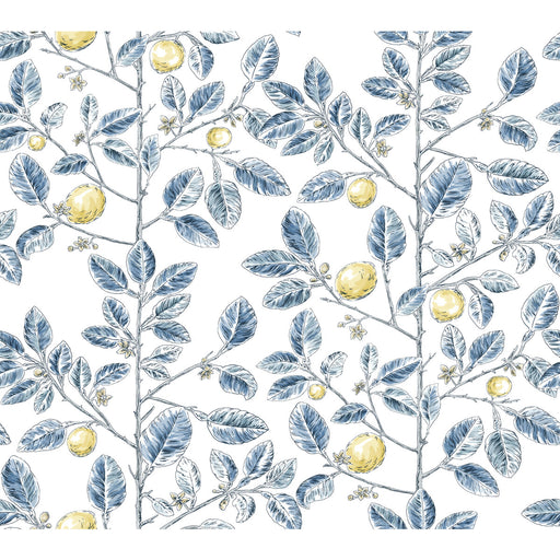 KRAVET DESIGN - KRAVET DESIGN- W4241-540 - Wallcovering by the Roll W4241-540
