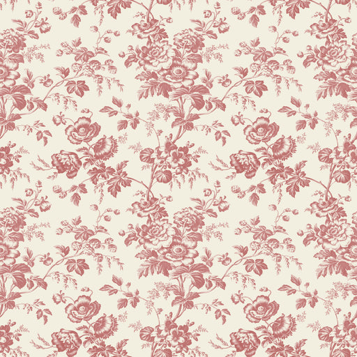 KRAVET DESIGN - KRAVET DESIGN- W4243-19 - Wallcovering by the Roll W4243-19