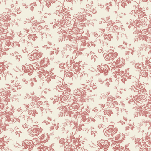 KRAVET DESIGN - KRAVET DESIGN- W4243-19 - Wallcovering by the Roll W4243-19