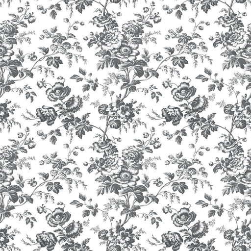 KRAVET DESIGN - KRAVET DESIGN- W4243-8 - Wallcovering by the Roll W4243-8