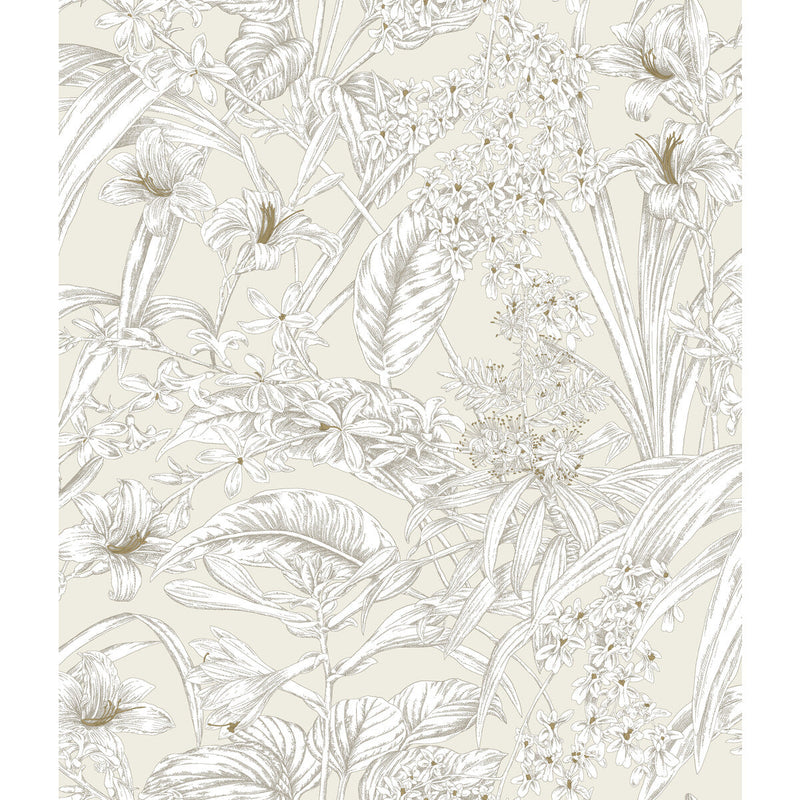 KRAVET DESIGN - KRAVET DESIGN- W4248-1 - Wallcovering by the Roll W4248-1