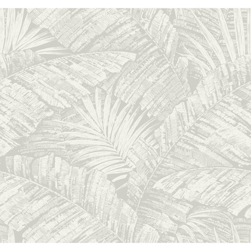 KRAVET DESIGN - KRAVET DESIGN- W4249-11 - Wallcovering by the Roll W4249-11