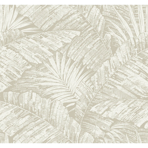 KRAVET DESIGN - KRAVET DESIGN- W4249-16 - Wallcovering by the Roll W4249-16