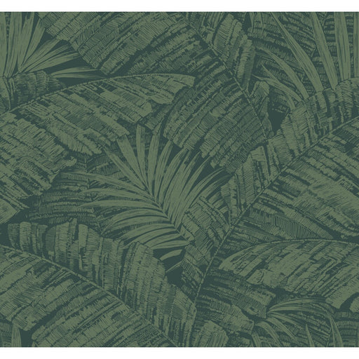 KRAVET DESIGN - KRAVET DESIGN- W4249-353 - Wallcovering by the Roll W4249-353