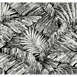 KRAVET DESIGN - KRAVET DESIGN- W4249-81 - Wallcovering by the Roll