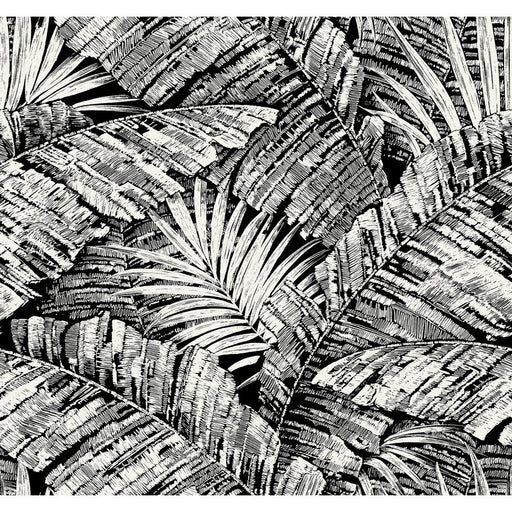 KRAVET DESIGN - KRAVET DESIGN- W4249-81 - Wallcovering by the Roll W4249-81