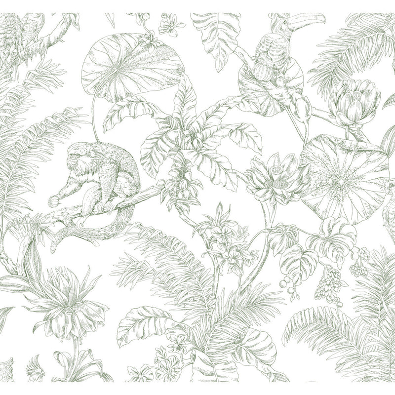 KRAVET DESIGN - KRAVET DESIGN- W4250-31 - Wallcovering by the Roll W4250-31