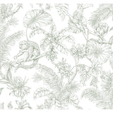 KRAVET DESIGN - KRAVET DESIGN- W4250-31 - Wallcovering by the Roll
