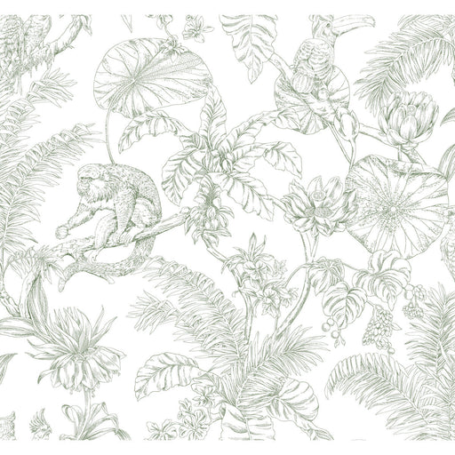 KRAVET DESIGN - KRAVET DESIGN- W4250-31 - Wallcovering by the Roll W4250-31