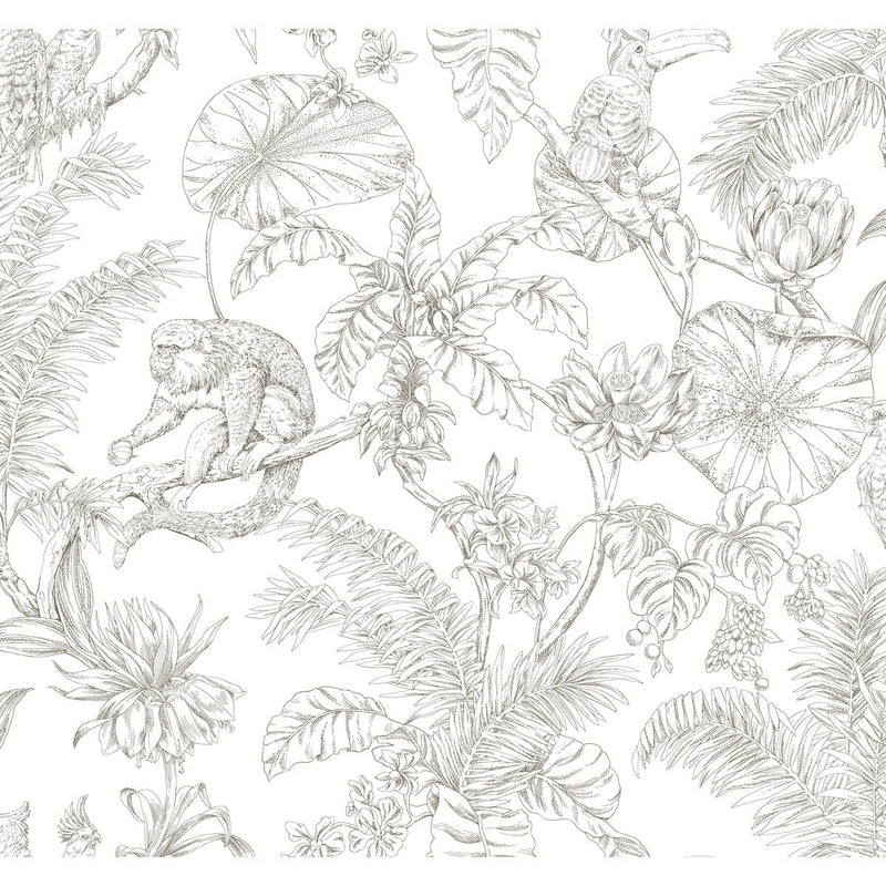 KRAVET DESIGN - KRAVET DESIGN- W4250-6 - Wallcovering by the Roll W4250-6