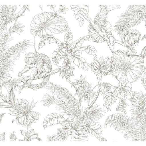 KRAVET DESIGN - KRAVET DESIGN- W4250-6 - Wallcovering by the Roll W4250-6