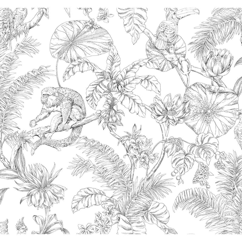 KRAVET DESIGN - KRAVET DESIGN- W4250-8 - Wallcovering by the Roll W4250-8
