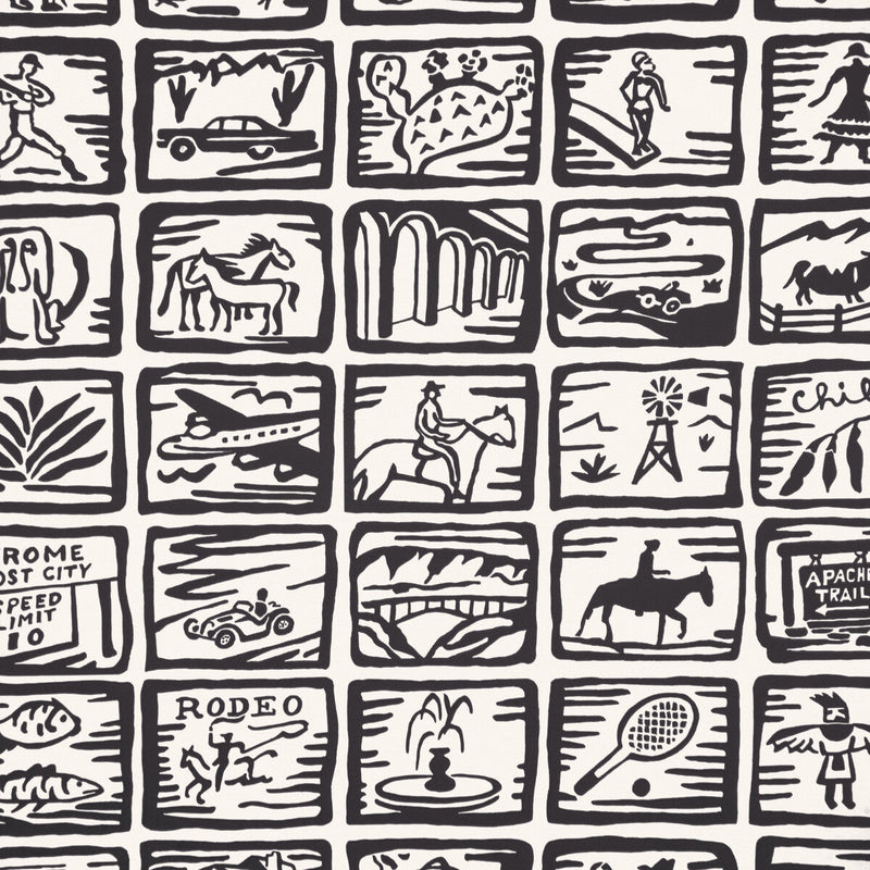 KRAVET COUTURE - ARIZONA SKETCHBOOK WP- COAL - Wallcovering by the Roll COAL
