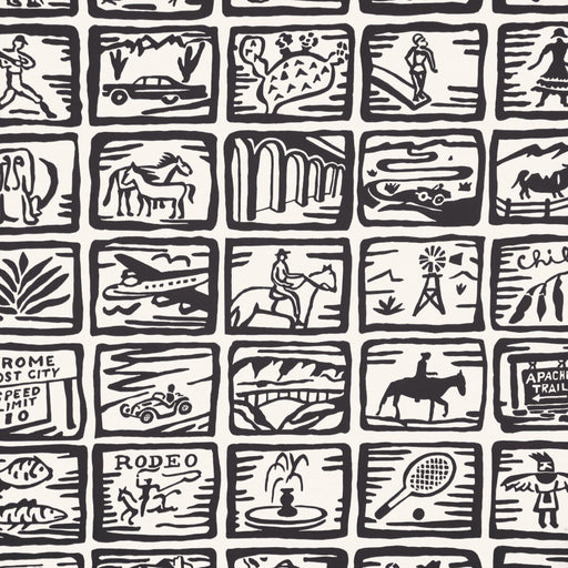 KRAVET COUTURE - ARIZONA SKETCHBOOK WP- COAL - Wallcovering by the Roll COAL