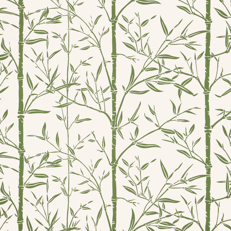 KRAVET COUTURE - BAMBOO WP- CACTUS - Wallcovering by the Roll CACTUS