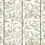 KRAVET COUTURE - BAMBOO WP- CACTUS - Wallcovering by the Roll