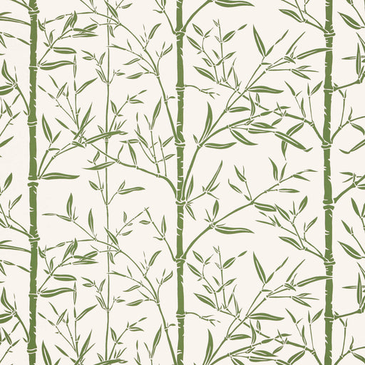 KRAVET COUTURE - BAMBOO WP- CACTUS - Wallcovering by the Roll CACTUS