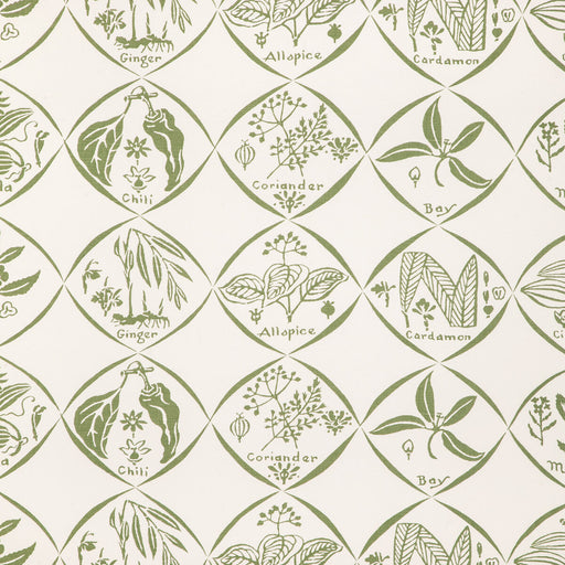 KRAVET COUTURE - SPICES WP- CACTUS - Wallcovering by the Roll CACTUS