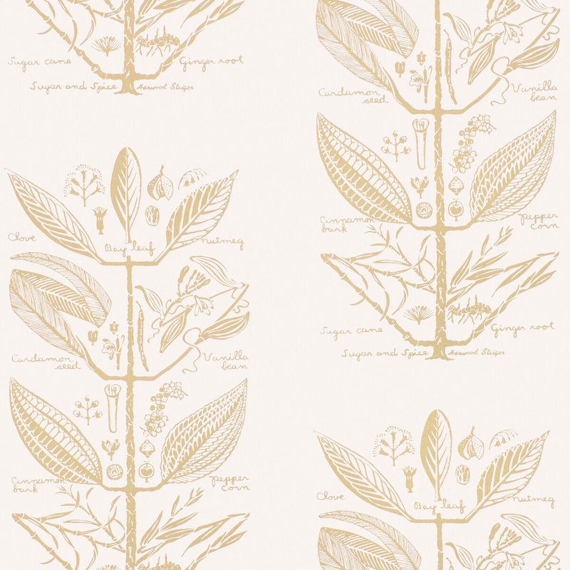 KRAVET COUTURE - SUGAR AND SPICE WP- SAND - Wallcovering by the Roll SAND