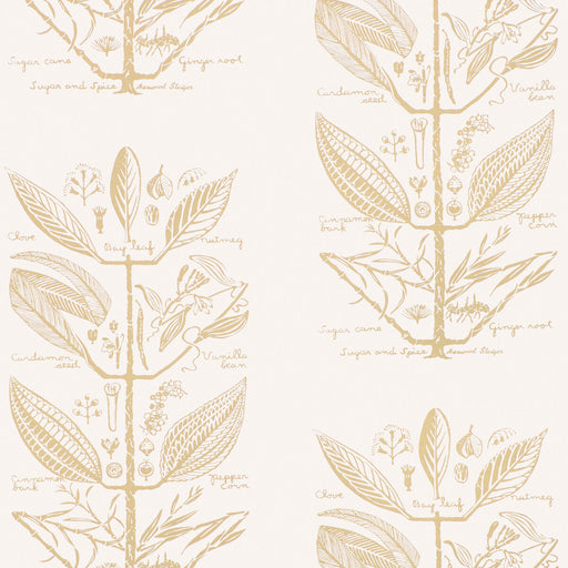 KRAVET COUTURE - SUGAR AND SPICE WP- SAND - Wallcovering by the Roll SAND