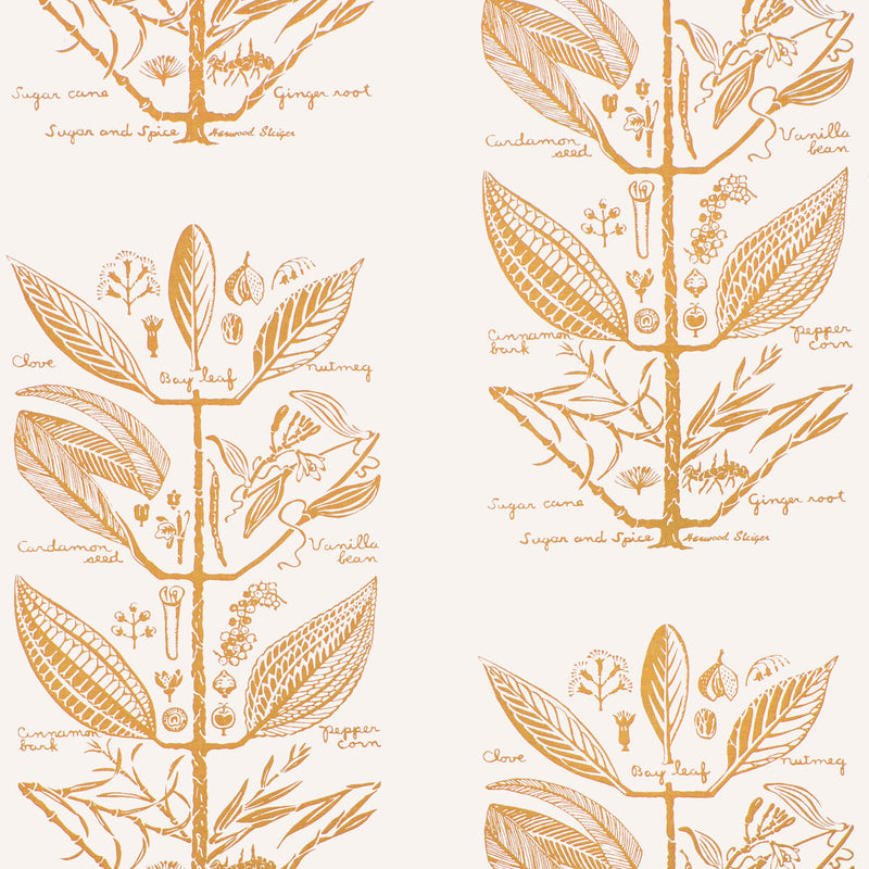 KRAVET COUTURE - SUGAR AND SPICE WP- GOLD - Wallcovering by the Roll GOLD