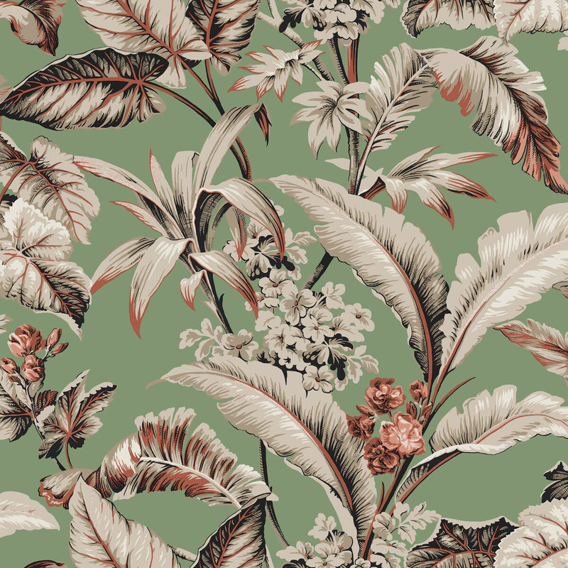 KRAVET DESIGN - KRAVET DESIGN- W4272-312 - Wallcovering by the Roll W4272-312