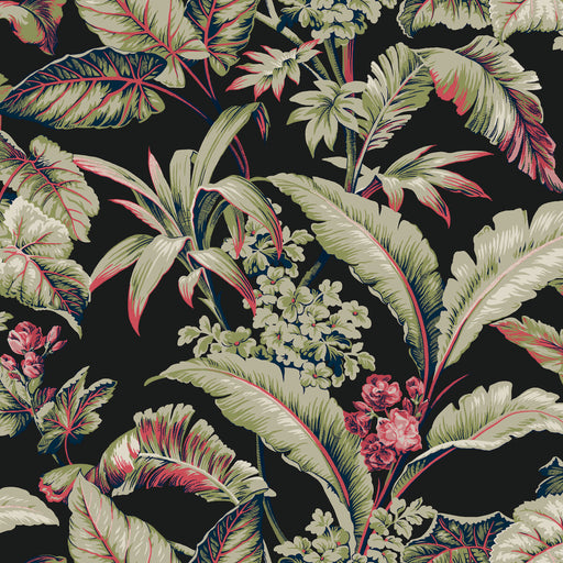 KRAVET DESIGN - KRAVET DESIGN- W4272-819 - Wallcovering by the Roll W4272-819