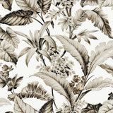 KRAVET DESIGN - KRAVET DESIGN- W4272-86 - Wallcovering by the Roll