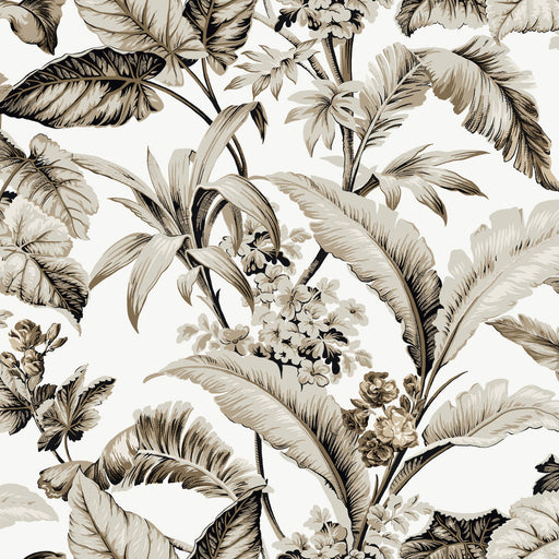 KRAVET DESIGN - KRAVET DESIGN- W4272-86 - Wallcovering by the Roll W4272-86
