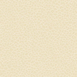 KRAVET DESIGN - KRAVET DESIGN- W4281-116 - Wallcovering by the Roll