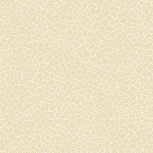 KRAVET DESIGN - KRAVET DESIGN- W4281-116 - Wallcovering by the Roll W4281-116