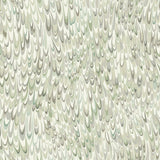KRAVET DESIGN - KRAVET DESIGN- W4282-311 - Wallcovering by the Roll