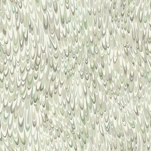 KRAVET DESIGN - KRAVET DESIGN- W4282-311 - Wallcovering by the Roll W4282-311