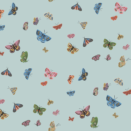 KRAVET DESIGN - KRAVET DESIGN- W4289-517 - Wallcovering by the Roll W4289-517