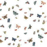 KRAVET DESIGN - KRAVET DESIGN- W4289 - Wallcovering by the Roll