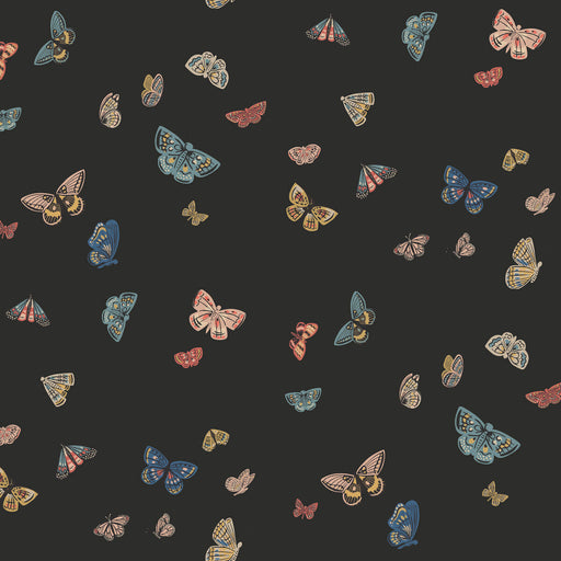 KRAVET DESIGN - KRAVET DESIGN- W4289-812 - Wallcovering by the Roll W4289-812