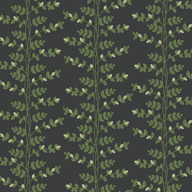 KRAVET DESIGN - KRAVET DESIGN- W4290 - Wallcovering by the Roll W4290